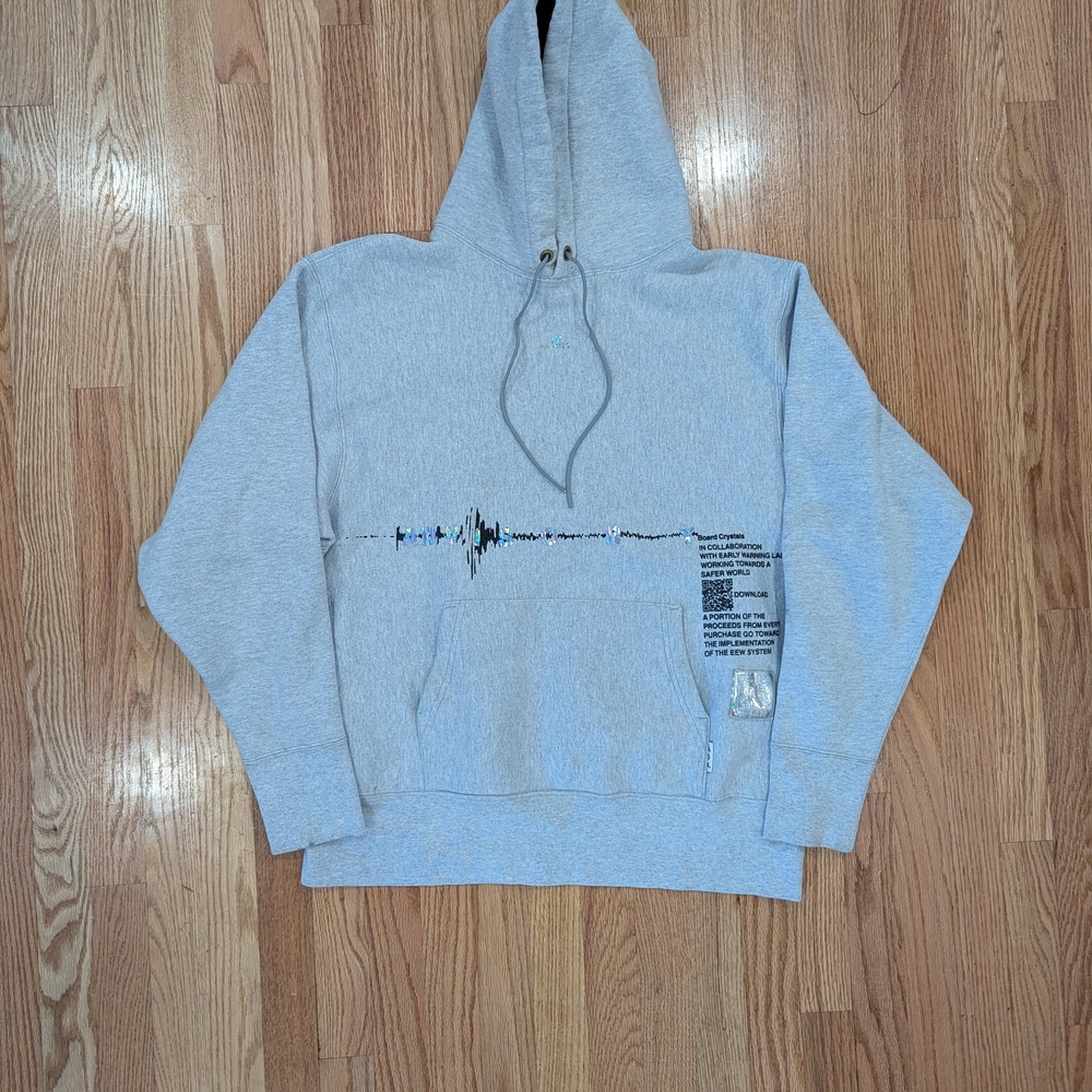 Light Gray Graphic Hoodie